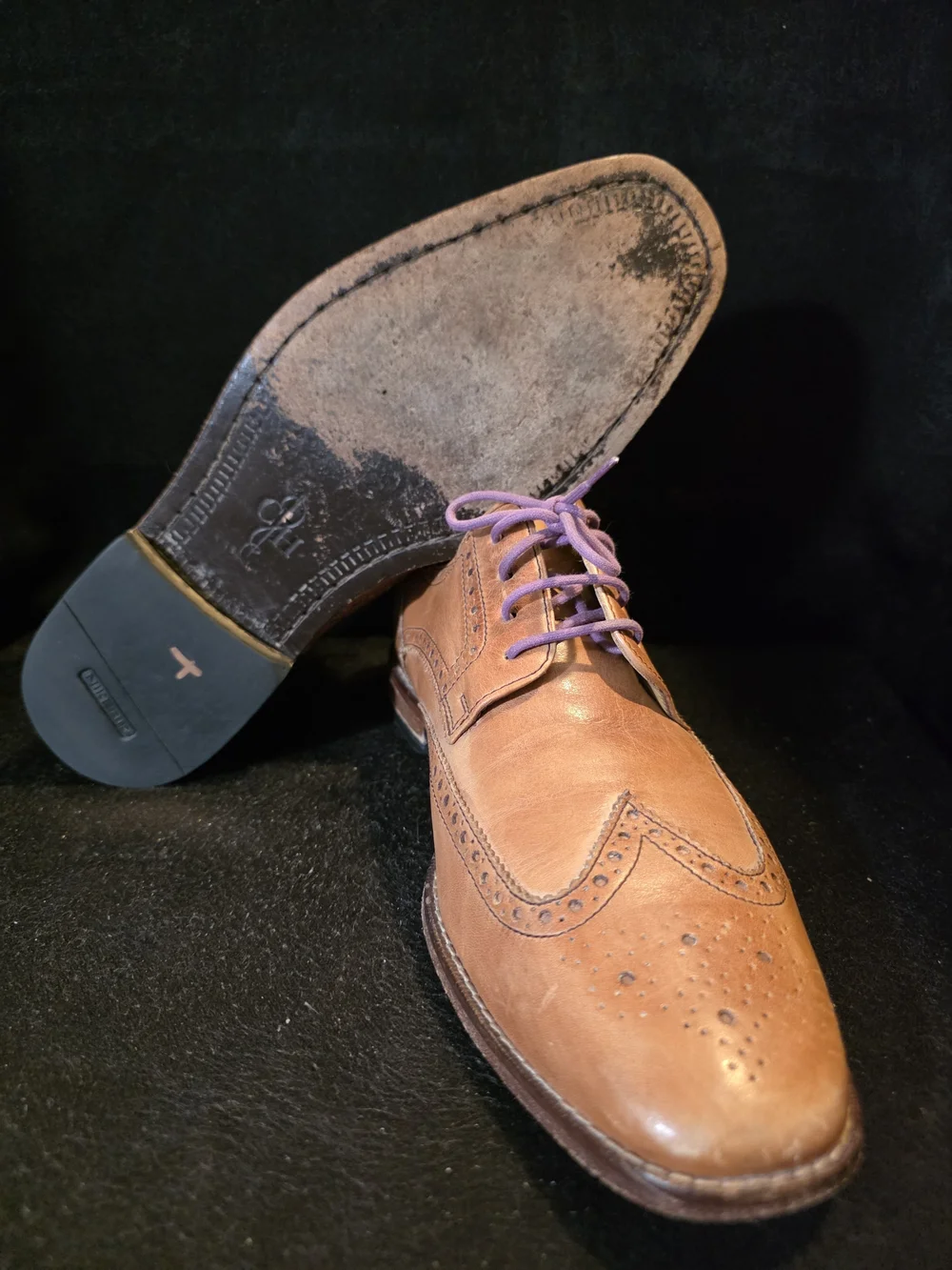 Cole Haan Brown Leather Wingtip Dress Shoes with Purple Laces Size 10.5